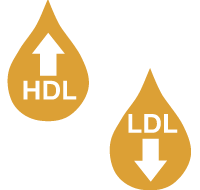 Cholesterol