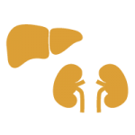 3 Step Liver and Kidney Protocol