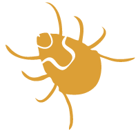 Lyme Disease